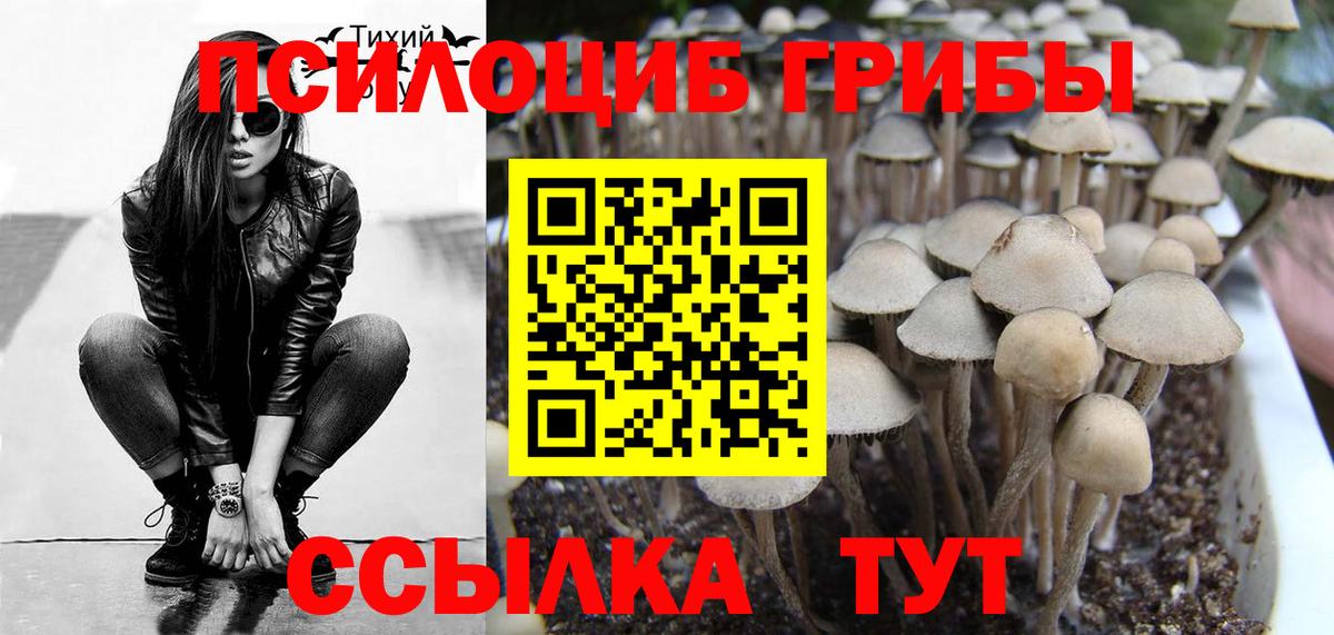 Балаково  где можно купить наркотик  Вход с VPN  Псилоцибиновые грибы ЛСД  Галлюциногенные грибы мухоморы 